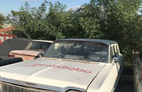 Fotoğraf Galerisi - 62